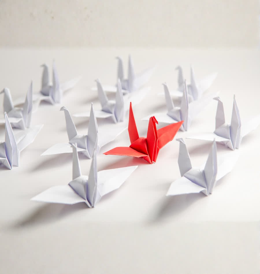 Grulla de origami roja destacando entre grullas blancas
